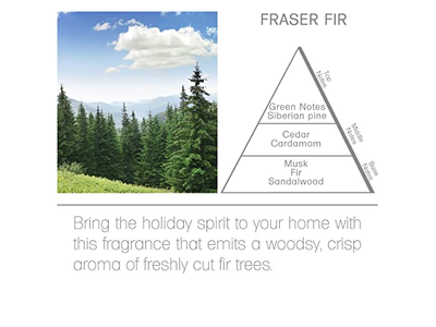 Fragrance Stick Diffuser Air With Sticks Longest Lasting